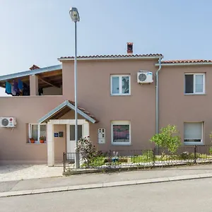 Amans 1 Pola